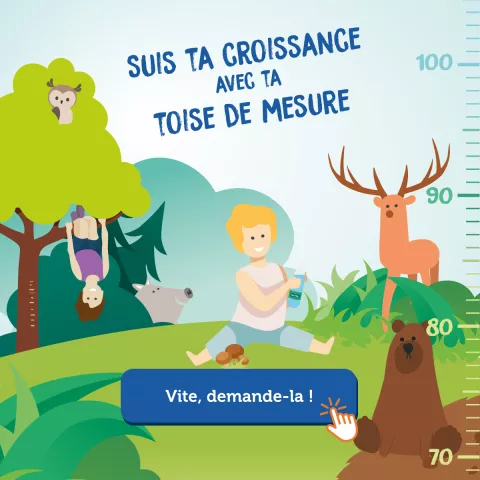 Wall Measurement FR