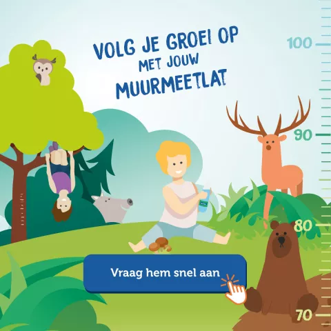 Wall Measurement NL